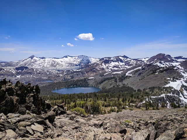 Image showing whitebark pine habitat in high-elevation mountain near lake