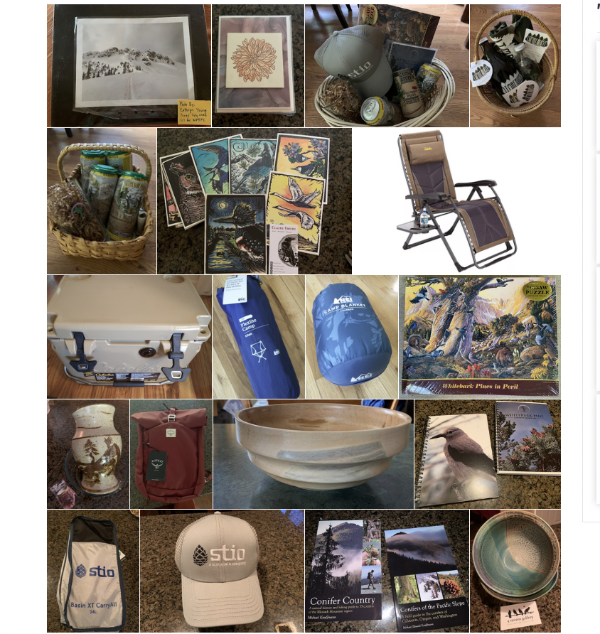 Screen shot of donation items for silent auction