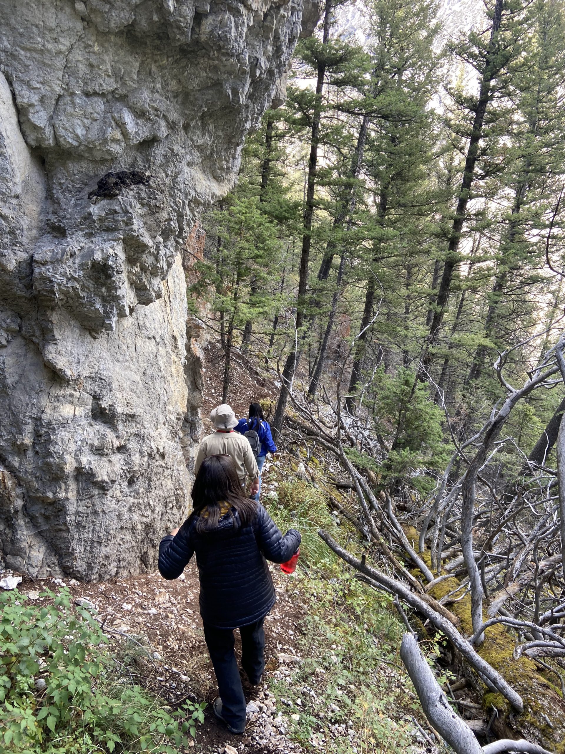 Members of WPEF board member Danielle Ulrich's lab hiking down after seeing the wickiup on the third stop of the Friday field trip