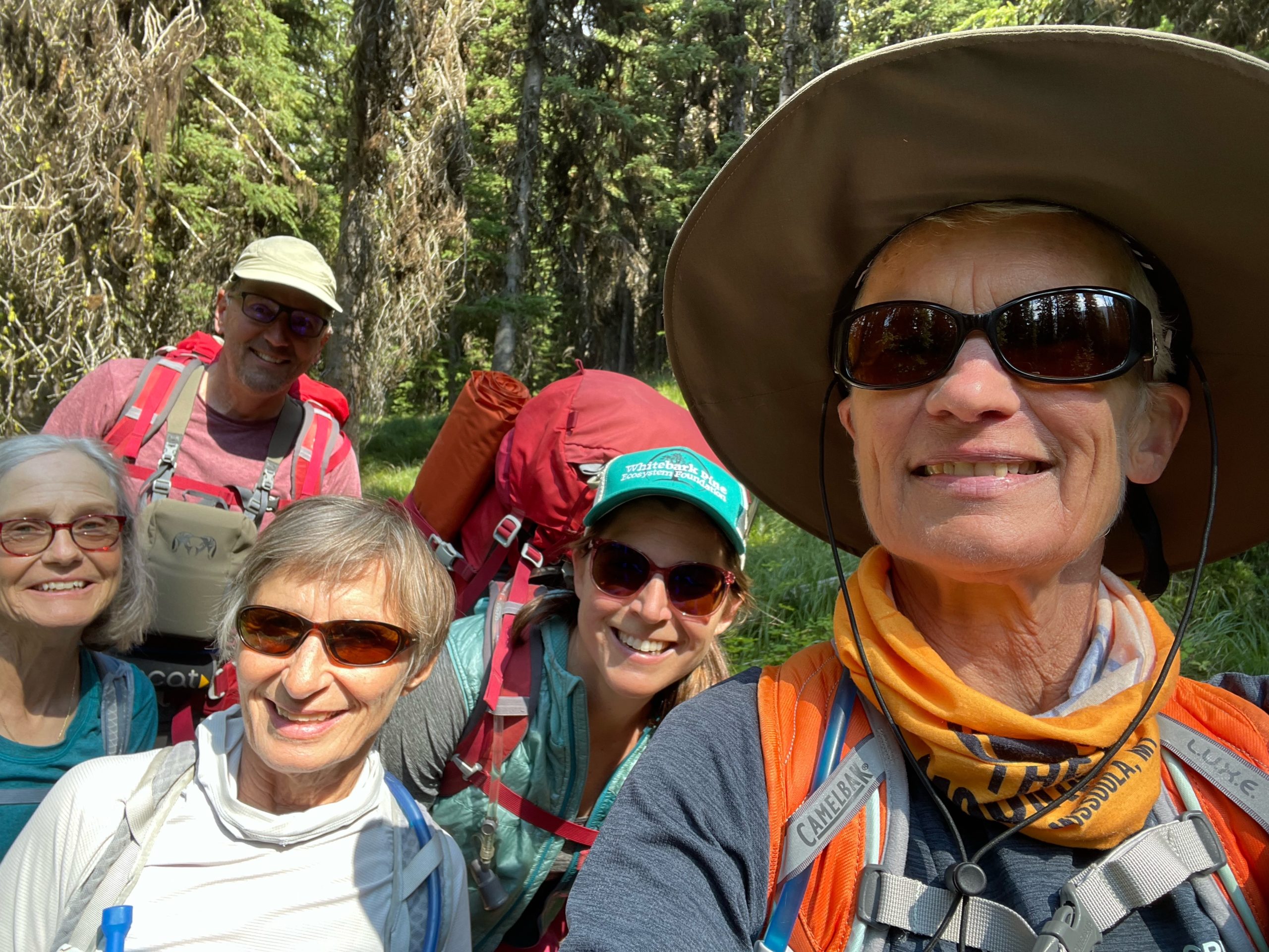 Smiling hikers on a whitebark pine education hike