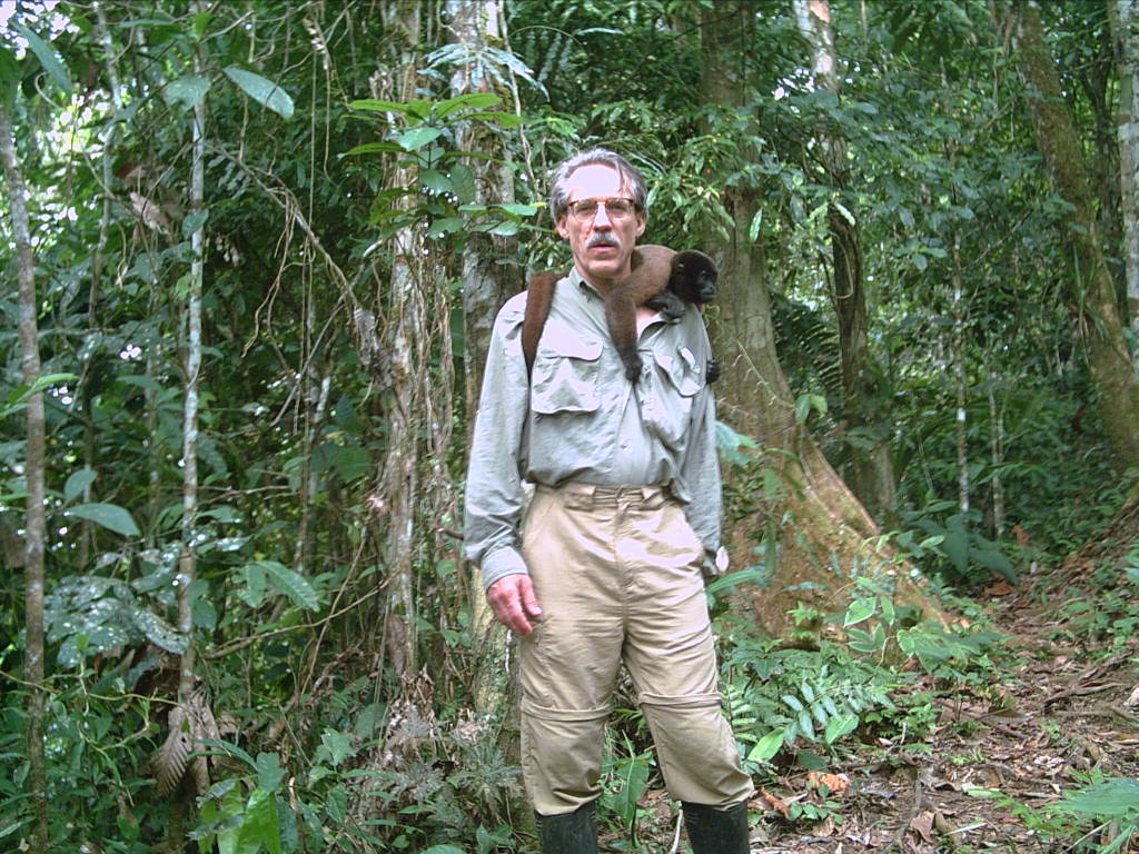 Person in hiking gear standing in rain forest with monkey on their shoulder