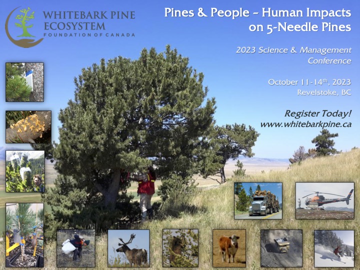 Picture of pine tree in field with person standing at base and several smaller images relating to human impacts on five-needle pines with text about the conference