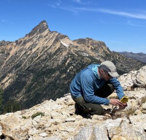 Person crouching on rocky mountain top taking a picture of a plant with a cell phone