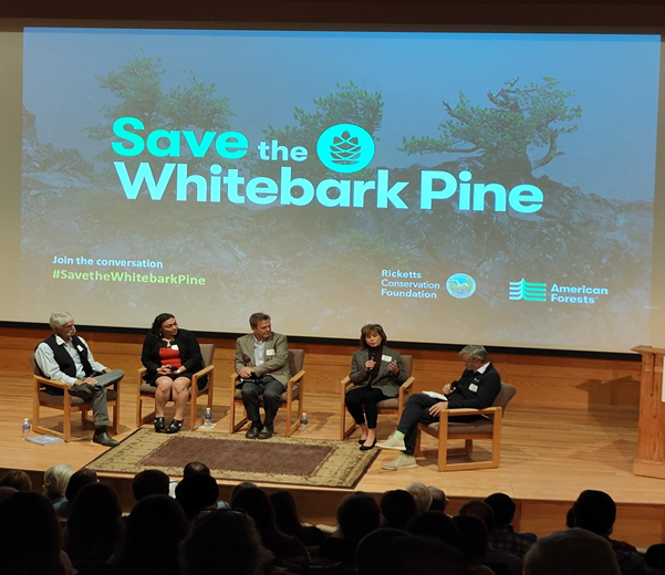 Group of science experts discussing whitebark pine restoration on a stage.